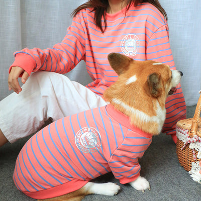 Suit Pink Stripes