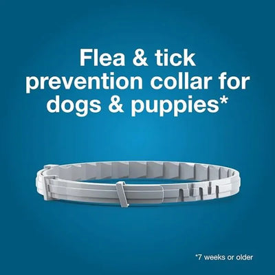 Seresto Flea & Tick Collar for Large Dogs
