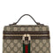 Gucci Women Printed Canvas Mini Ophidia Handbag