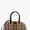 Burberry Women Coated Canvas Crossbody Bag With Check Pattern