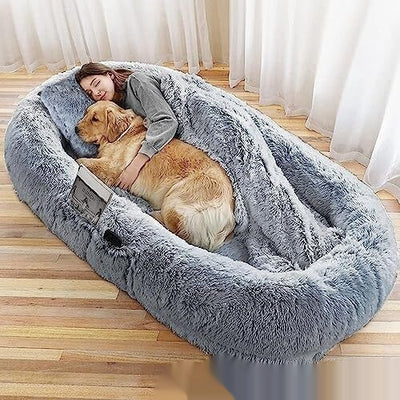 Light Gray With Blanket