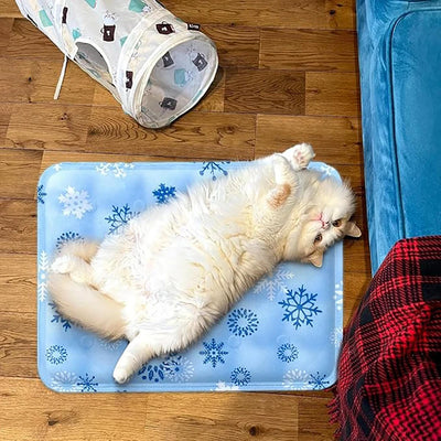 Premium Pet Cooling Mat for Dogs & Cats | Self-Cooling Summer Bed