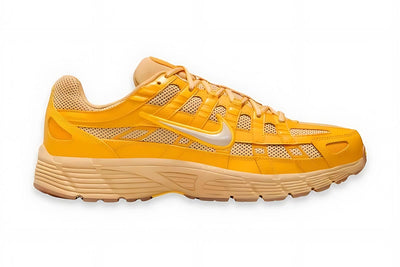 Sesame/University Gold/Gum Light