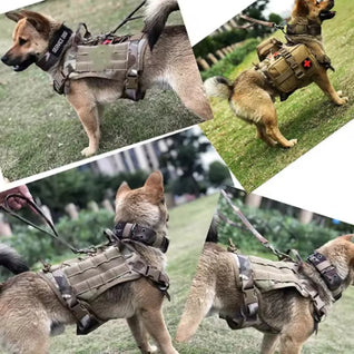 Tactical No-Pull Dog Harness | Heavy-Duty Padded Military Training Vest
