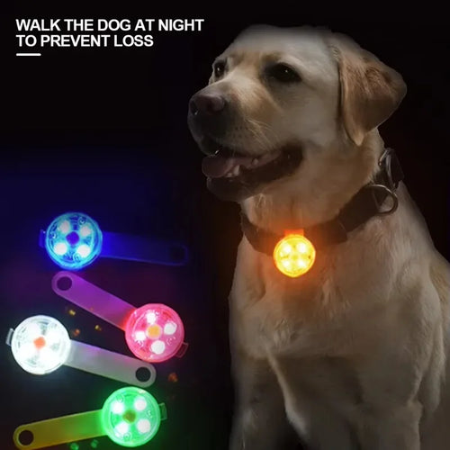 USB Rechargeable LED Pet Safety Light | Weatherproof Luminous Collar Pendant