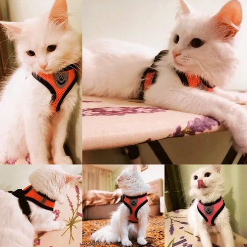 Reflective Mesh Dog Harness Vest | No-Choke Adjustable Pet Leash Set