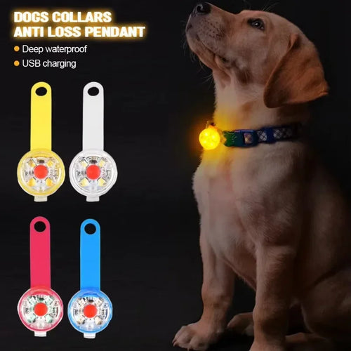 USB Rechargeable LED Pet Safety Light | Weatherproof Luminous Collar Pendant
