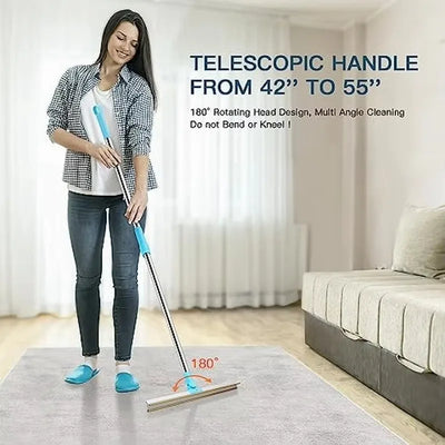 Pet Hair Remover for Carpet & Rugs