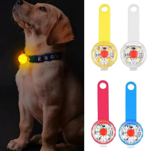 USB Rechargeable LED Pet Safety Light | Weatherproof Luminous Collar Pendant