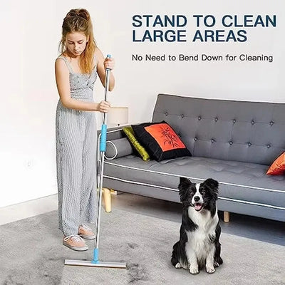 Pet Hair Remover for Carpet & Rugs