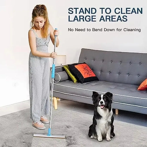 Pet Hair Remover for Carpet & Rugs