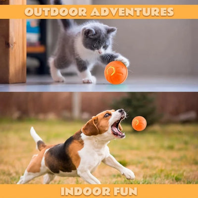 Pet toys Gravity Electric Amusement Pet Ball Smart Bouncing Ball For Dogs and Cats