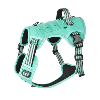 turquoise green