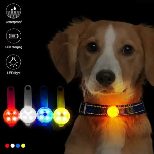 USB Rechargeable LED Pet Safety Light | Weatherproof Luminous Collar Pendant