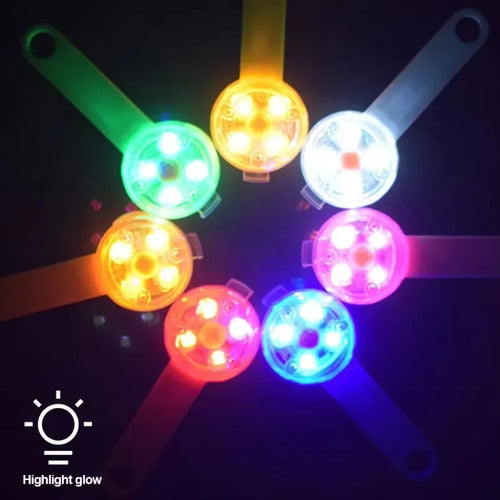 USB Rechargeable LED Pet Safety Light | Weatherproof Luminous Collar Pendant