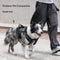 Tactical No-Pull Dog Harness for Medium Large Dogs Reflective Adjustable Outdoor Dog Vest Durable Training Harness