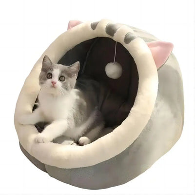 Cute English Short