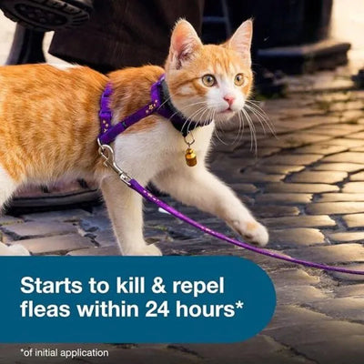Seresto Flea & Tick Collar for Cats