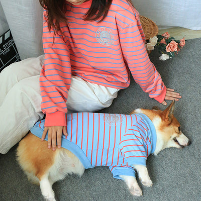 Dog blue master pink