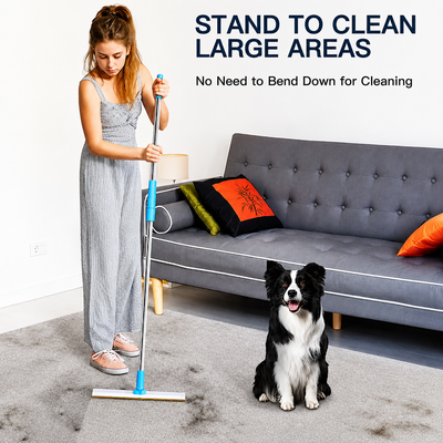 Pet Hair Remover for Carpet & Rugs