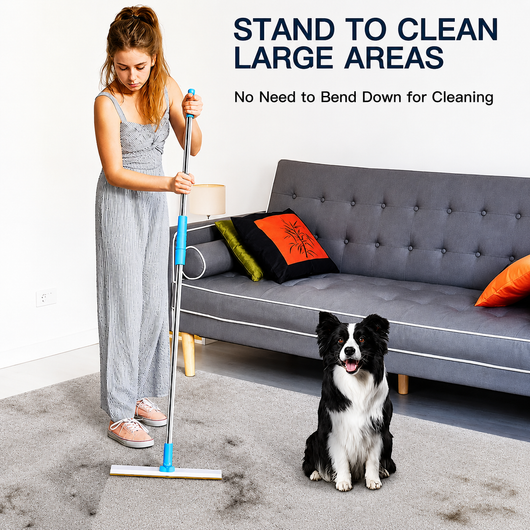 Pet Hair Remover for Carpet & Rugs